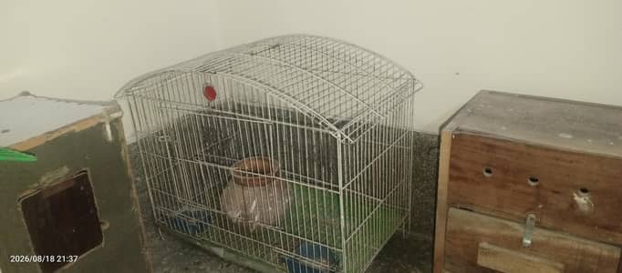 Used Bird Cage + Breeding Box