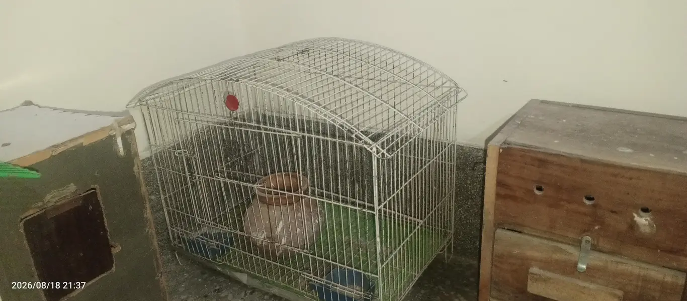 Used Bird Cages + Breeding Boxes + All Accessories For Sale — photo 6