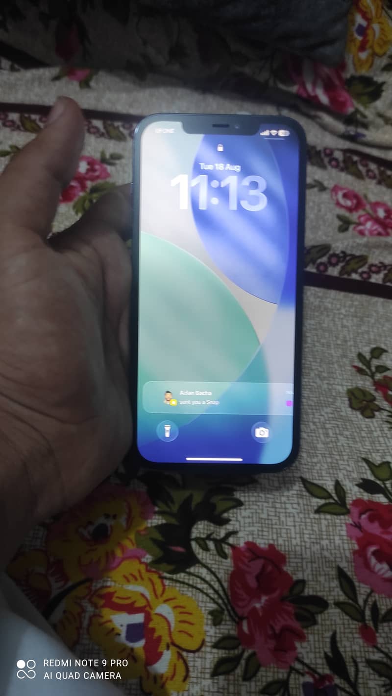 Apple iPhone 12 Pro Max 1
