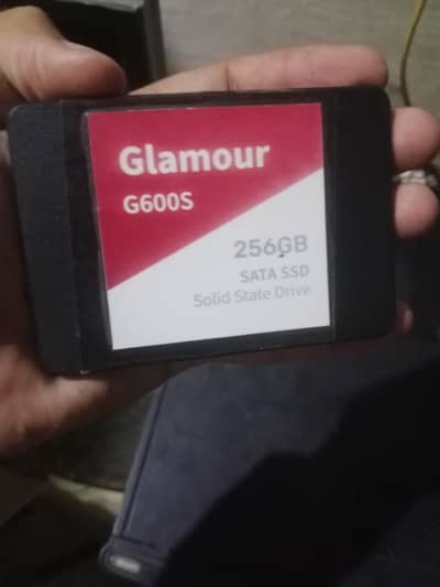 256GB SSD