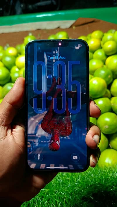 Apple iPhone 13
