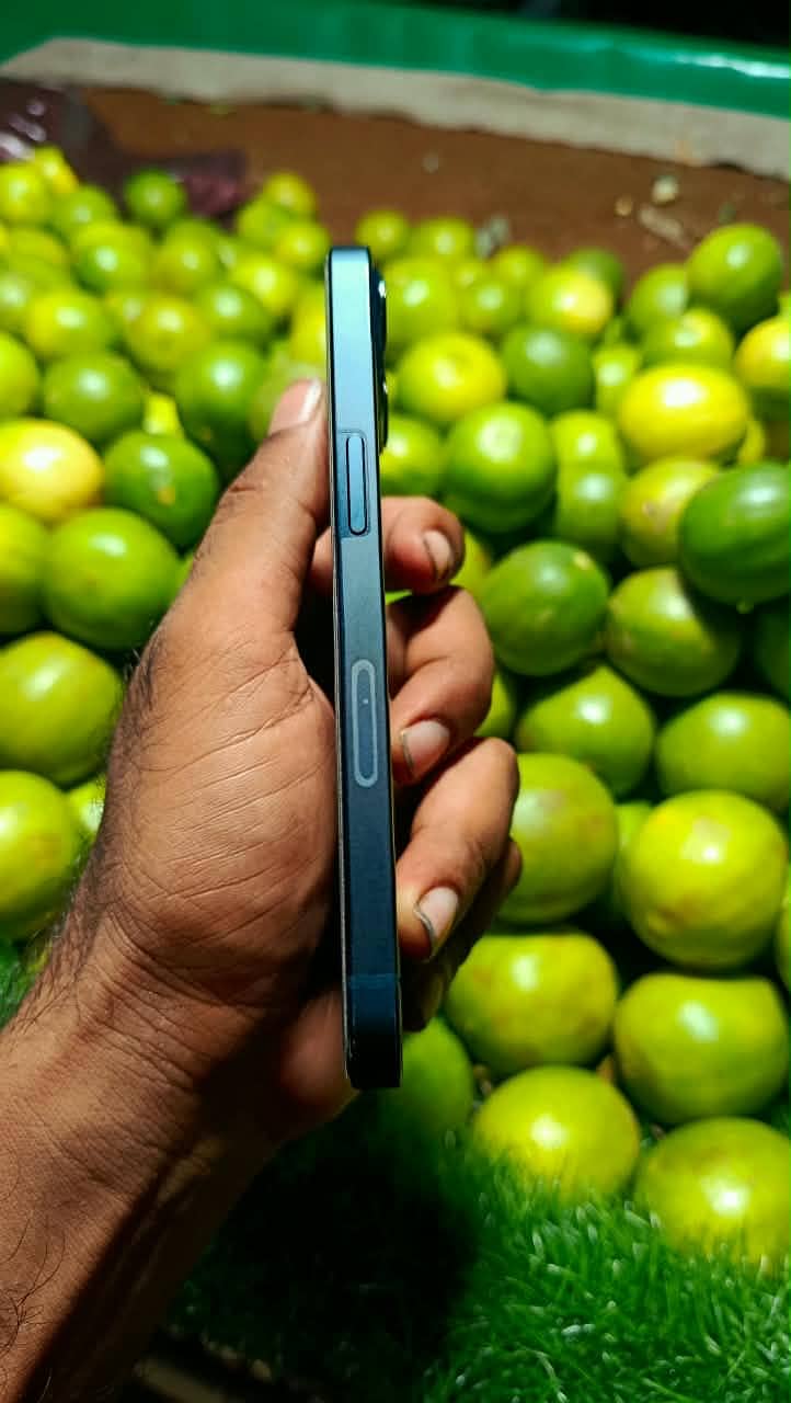 Apple iPhone 13 1