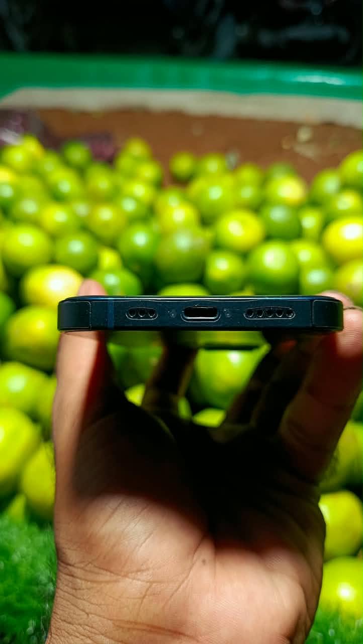 Apple iPhone 13 2