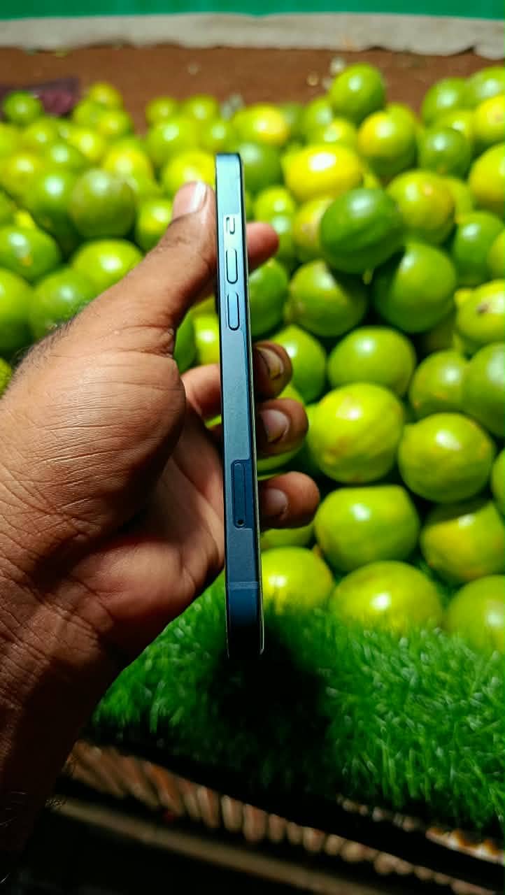Apple iPhone 13 4