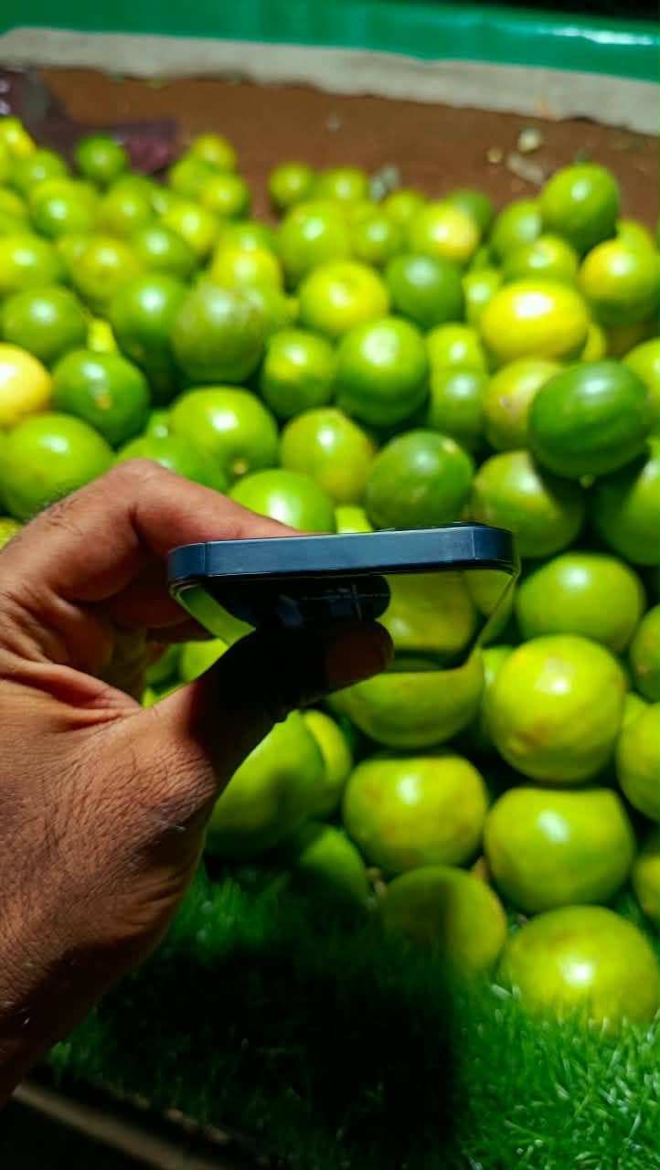 Apple iPhone 13 5