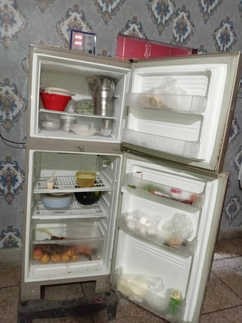 Pell Fridge 1