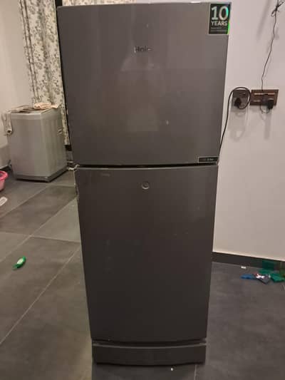 Haier HRF246 Fridge in Perfect Condition