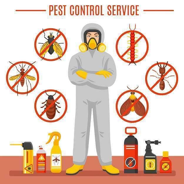 Fumigation And Termite Work 1