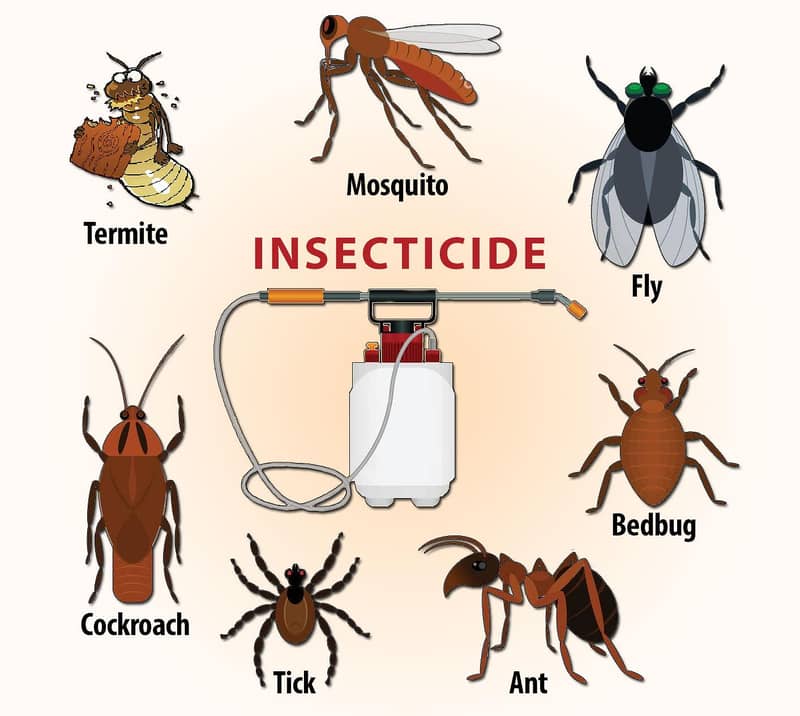 Fumigation And Termite Work 4