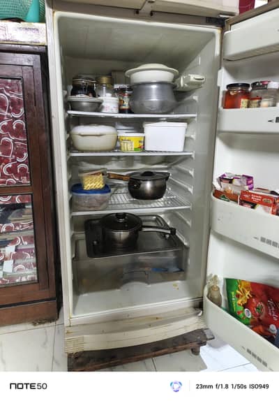 Fridge