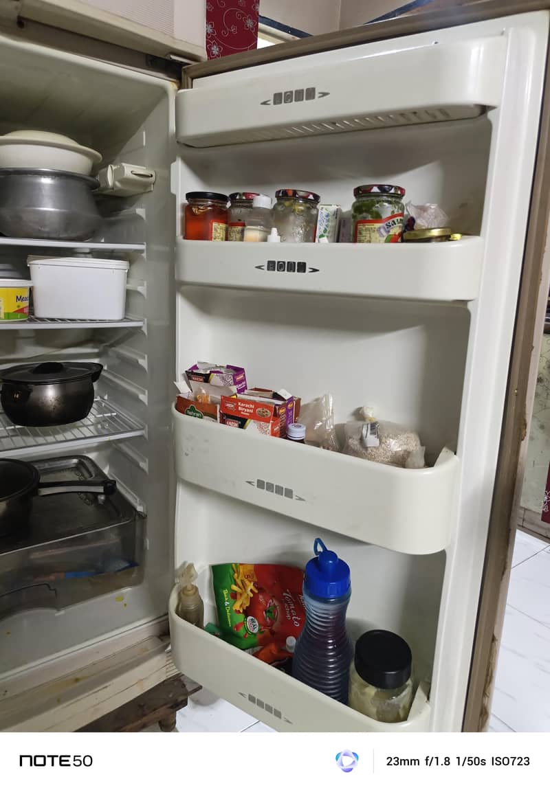 Fridge 4