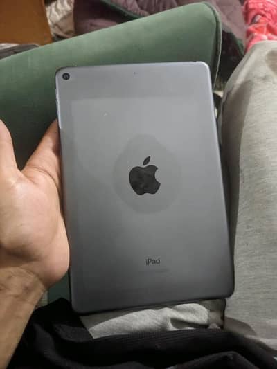 i pad mini 5