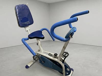 Gym Cycle my personal amazing (English Teacher) Back Support