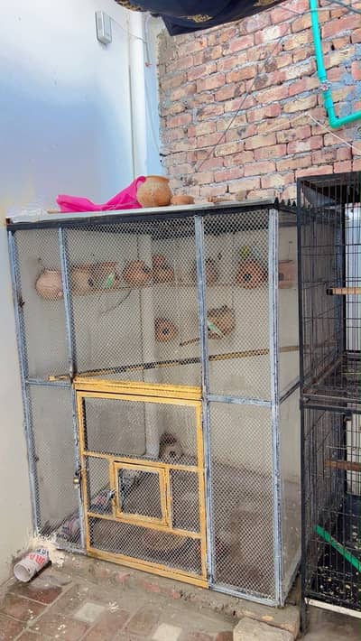 Birds cage 5/5 fet made with metal angle