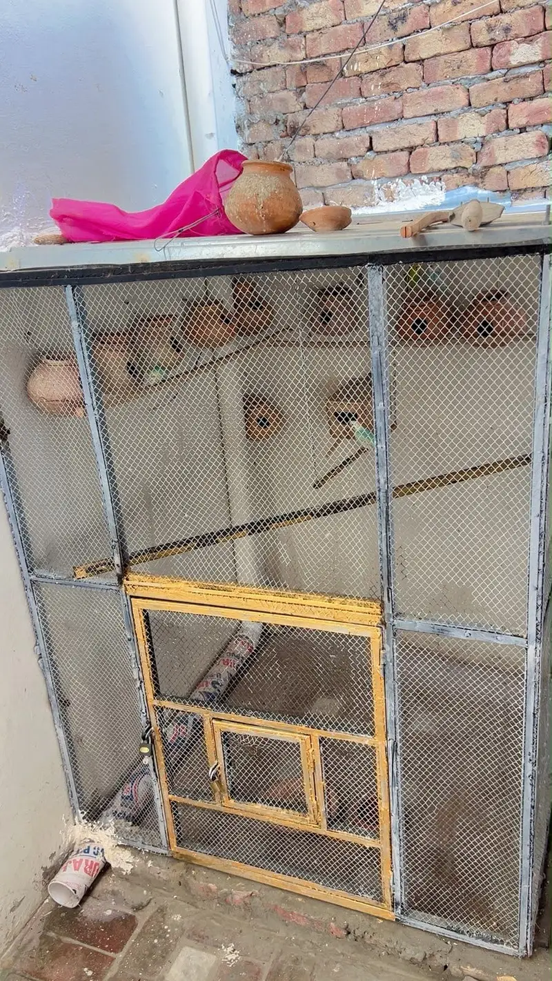 Birds cage 5/5 fet made with metal angle — photo 4