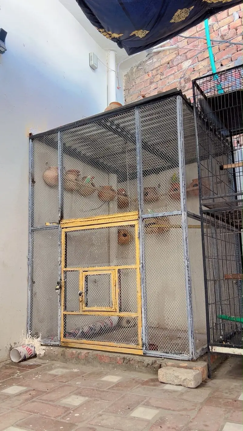 Birds cage 5/5 fet made with metal angle — photo 5