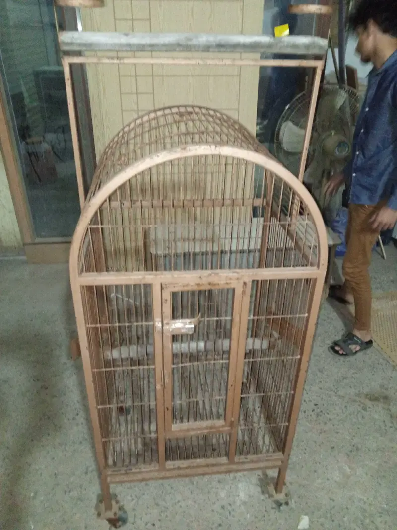 raw parrot cage — photo 2