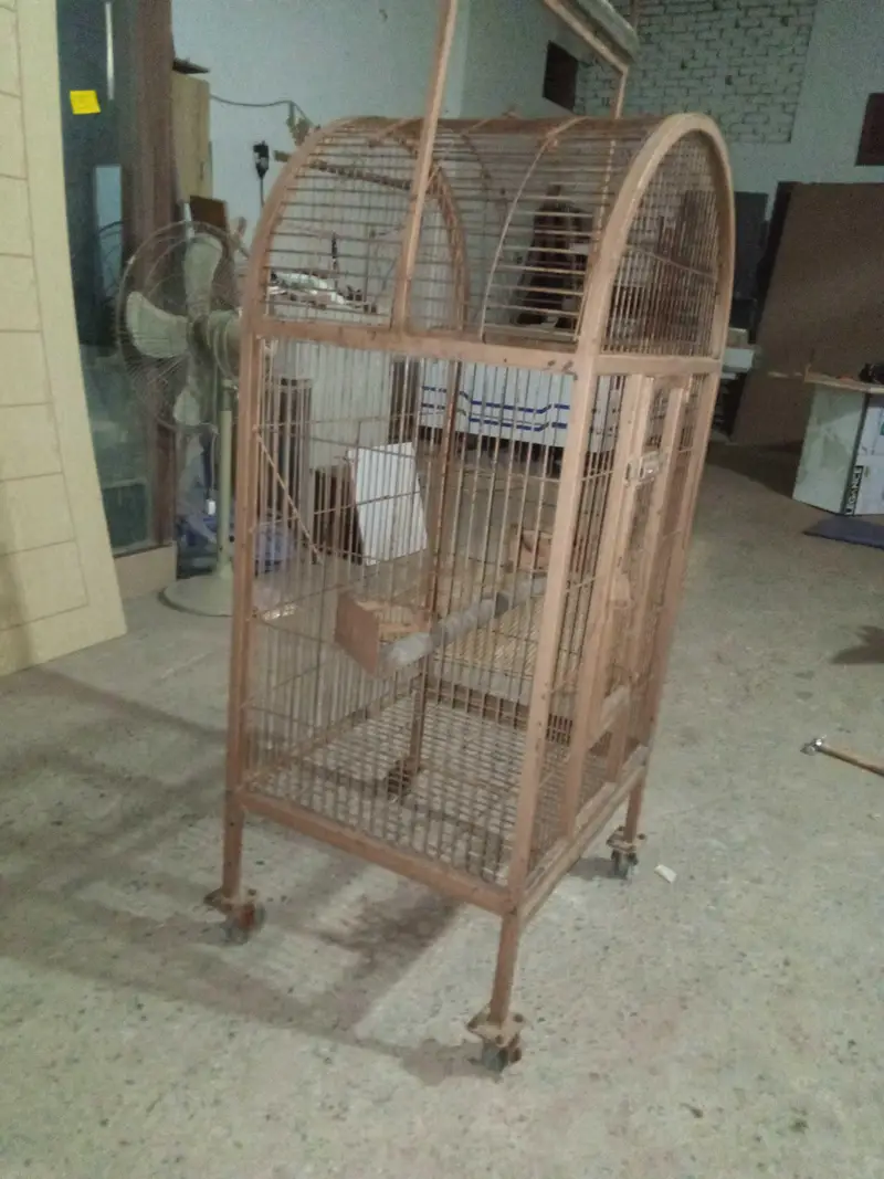 raw parrot cage — photo 3