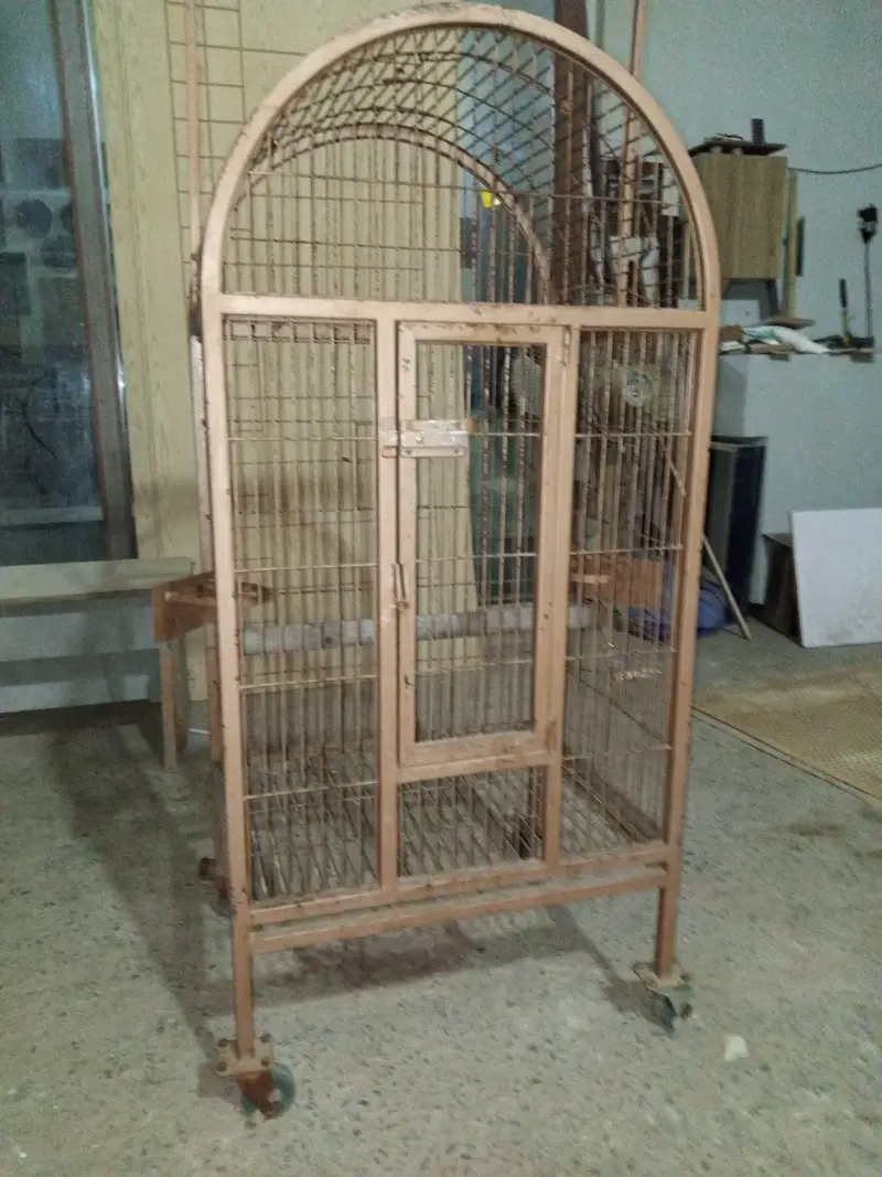 raw parrot cage — photo 4