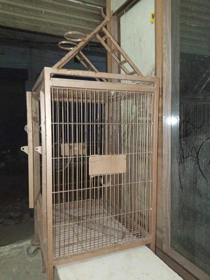 raw parrot cage — photo 5