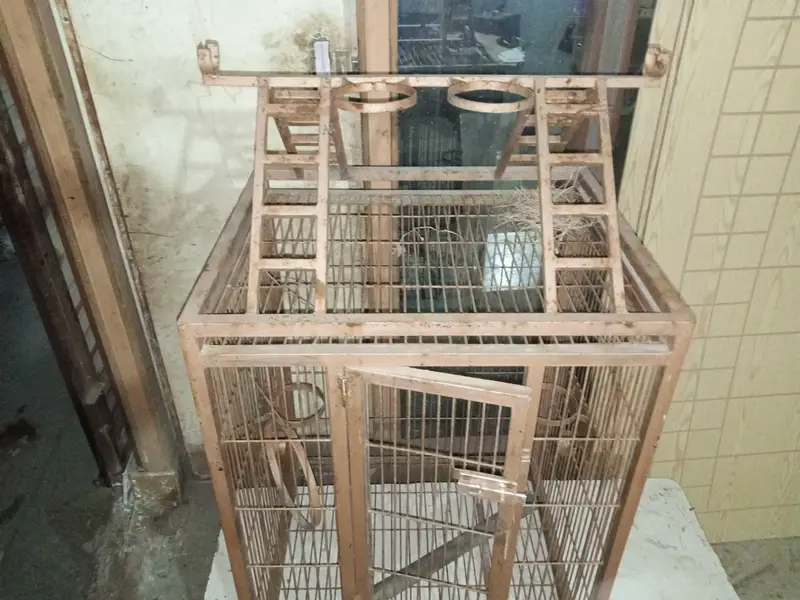 raw parrot cage — photo 6