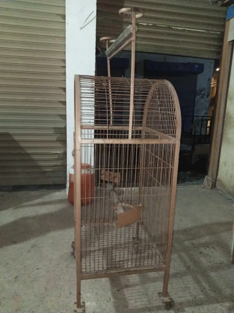 raw parrot cage — photo 7
