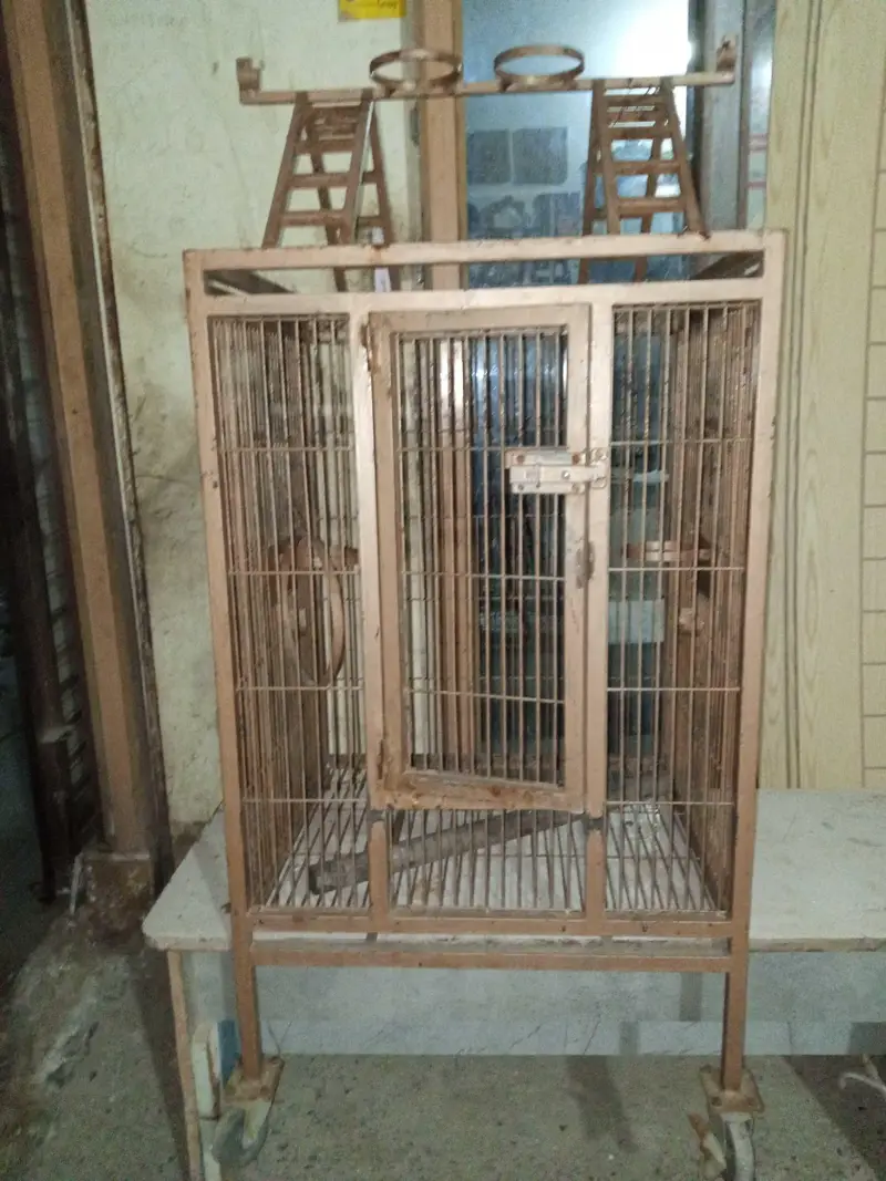 raw parrot cage — photo 8