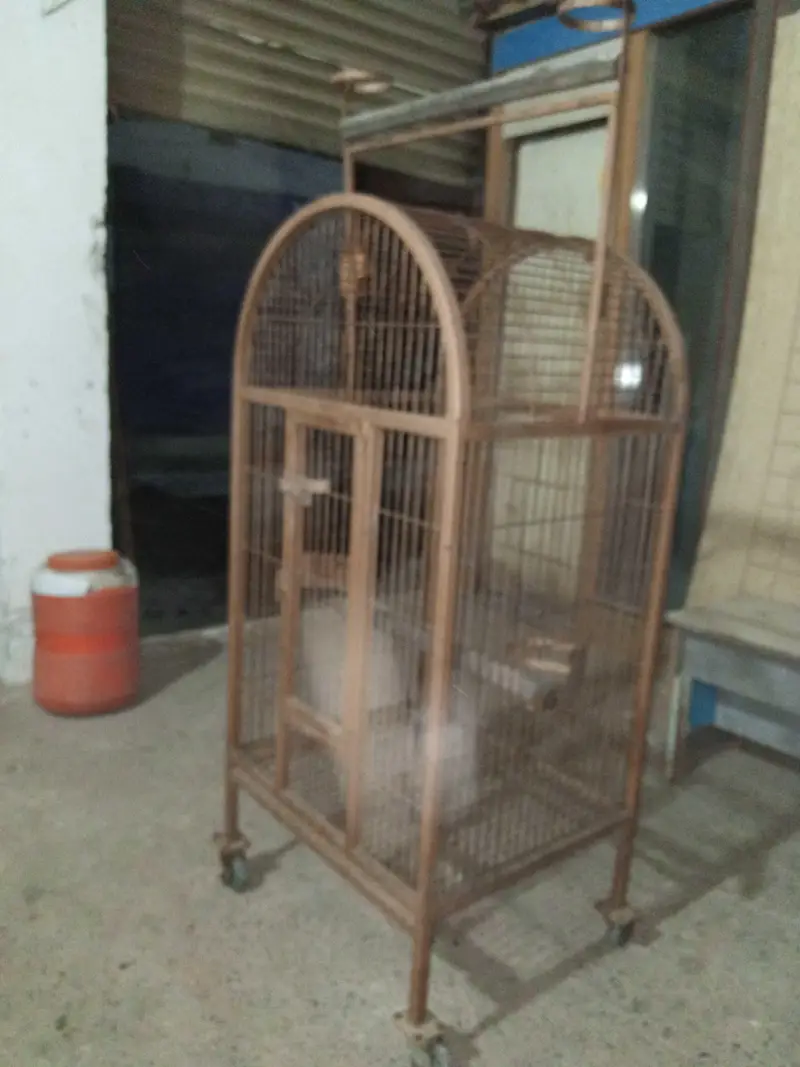 raw parrot cage — photo 9