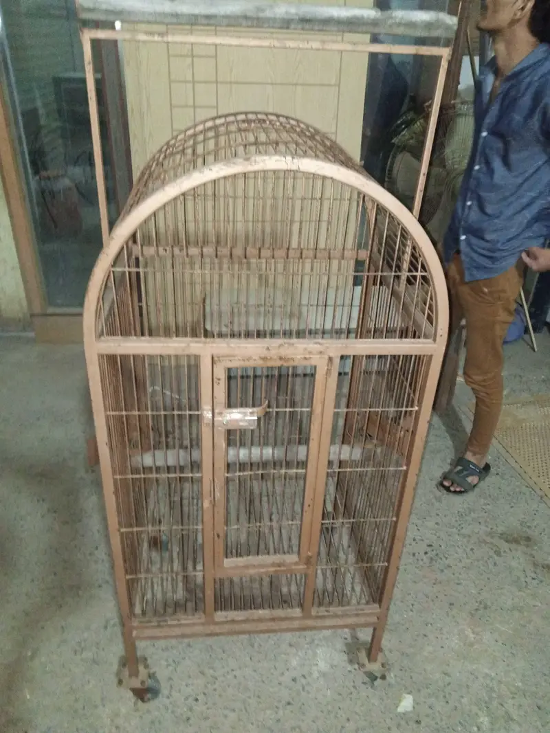 raw parrot cage — photo 10