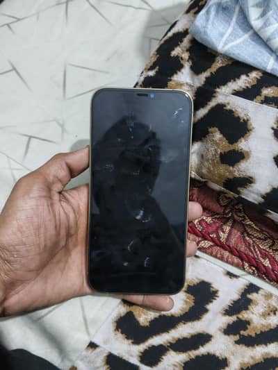 Apple iPhone 12 Pro Max