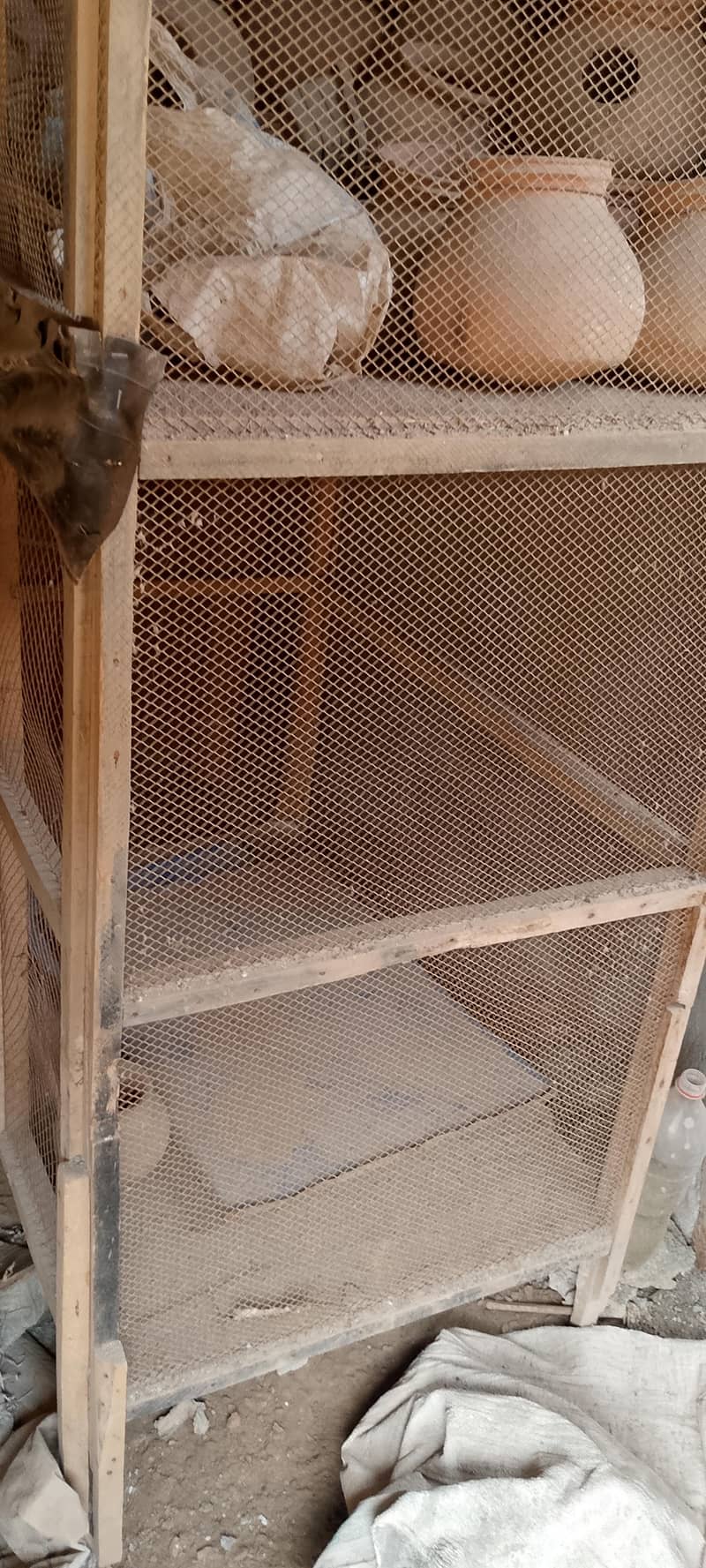 Bird cage 1