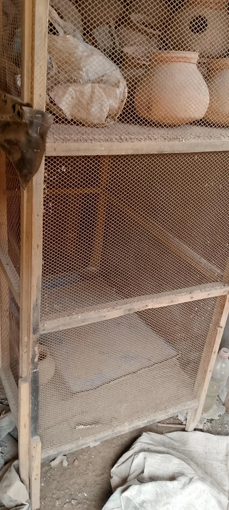 Bird cage — photo 2