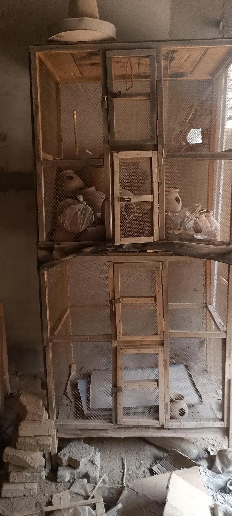 Bird cage — photo 5