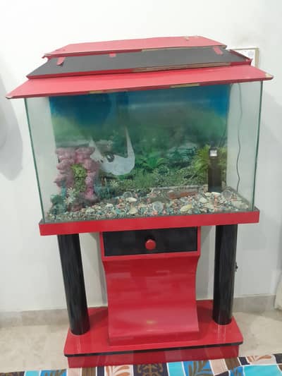 fish aquriuim