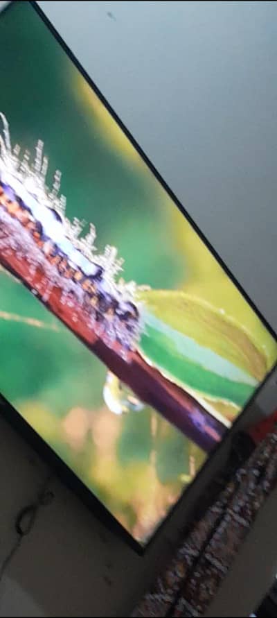 Ecostar 65 inch led 90000