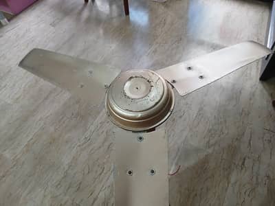 Fan /Celing Fan /Copper Fan /Used Fan /