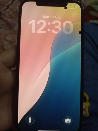 Apple iPhone 12 Pro