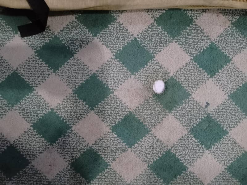 carpets 3