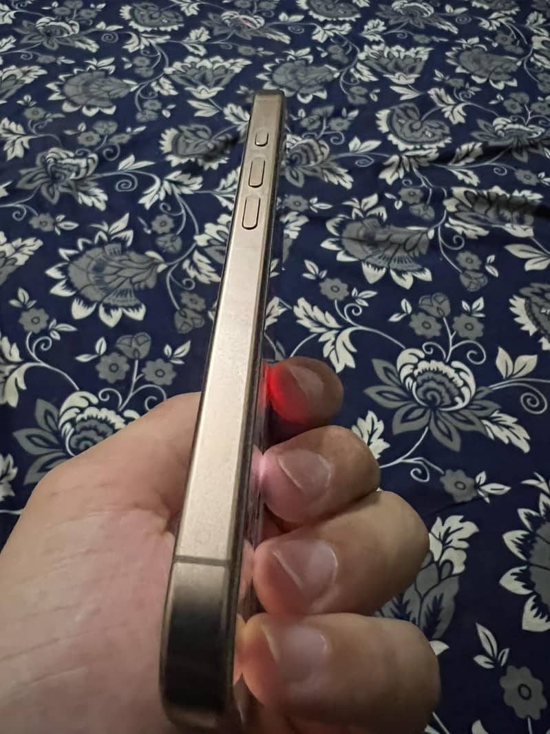Apple iPhone 16 Pro 1