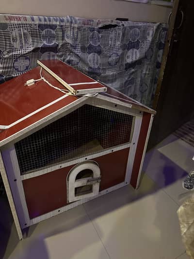 Wooden cage for cats