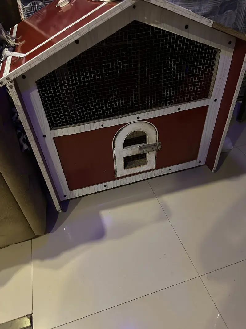 Wooden cage for cats — photo 3