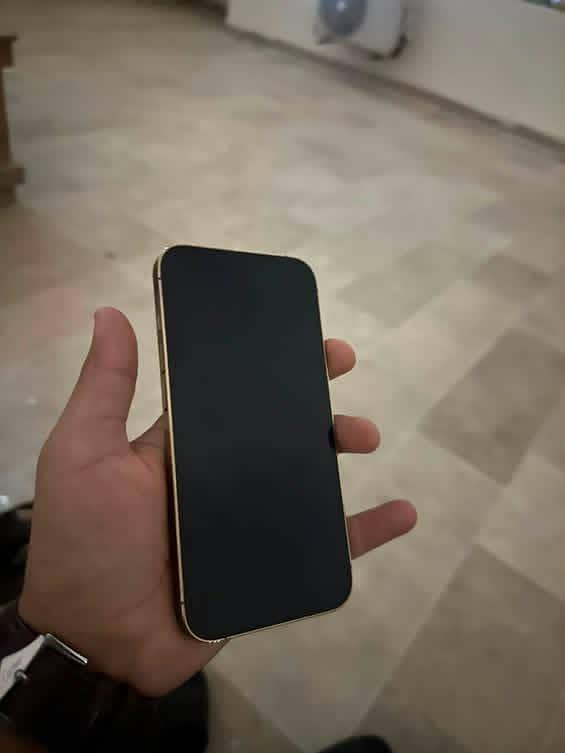 Apple iPhone 13 Pro 2