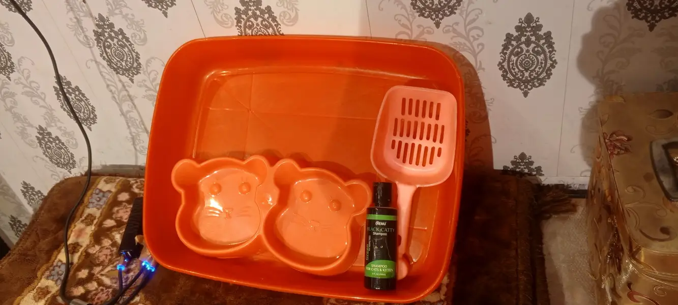 Cat Food try Hair Shampo Bathroom — photo 3