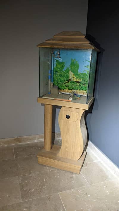 FISH  AQUARIUM