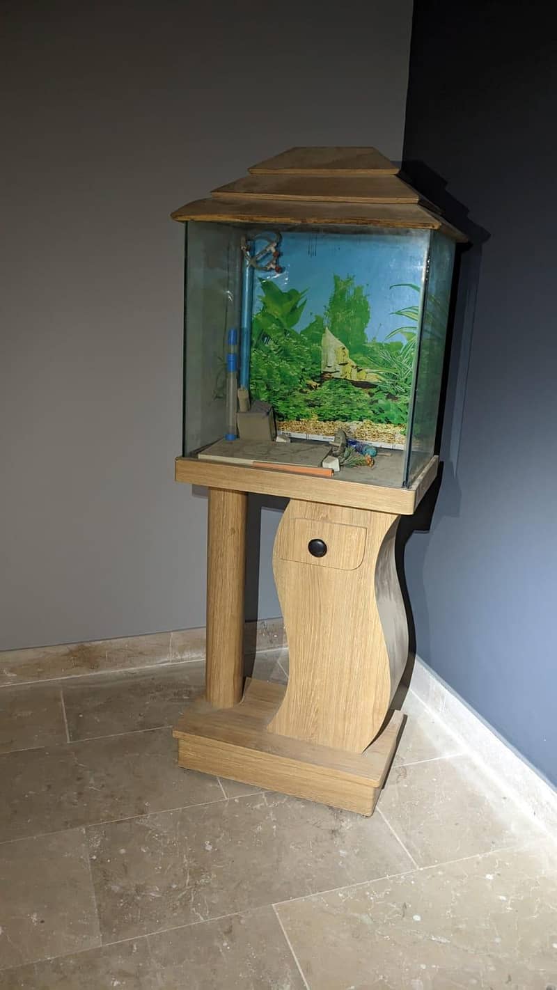FISH  AQUARIUM 0
