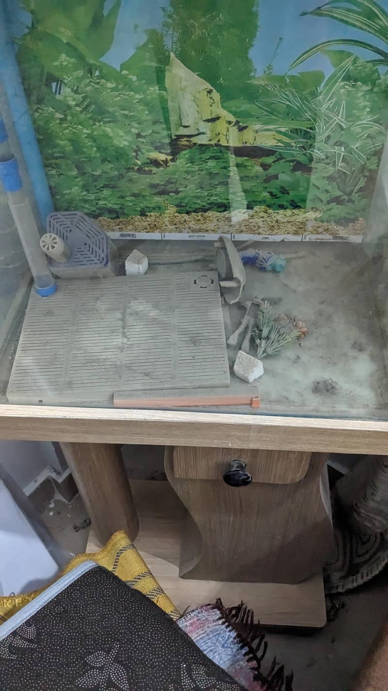 FISH  AQUARIUM 1