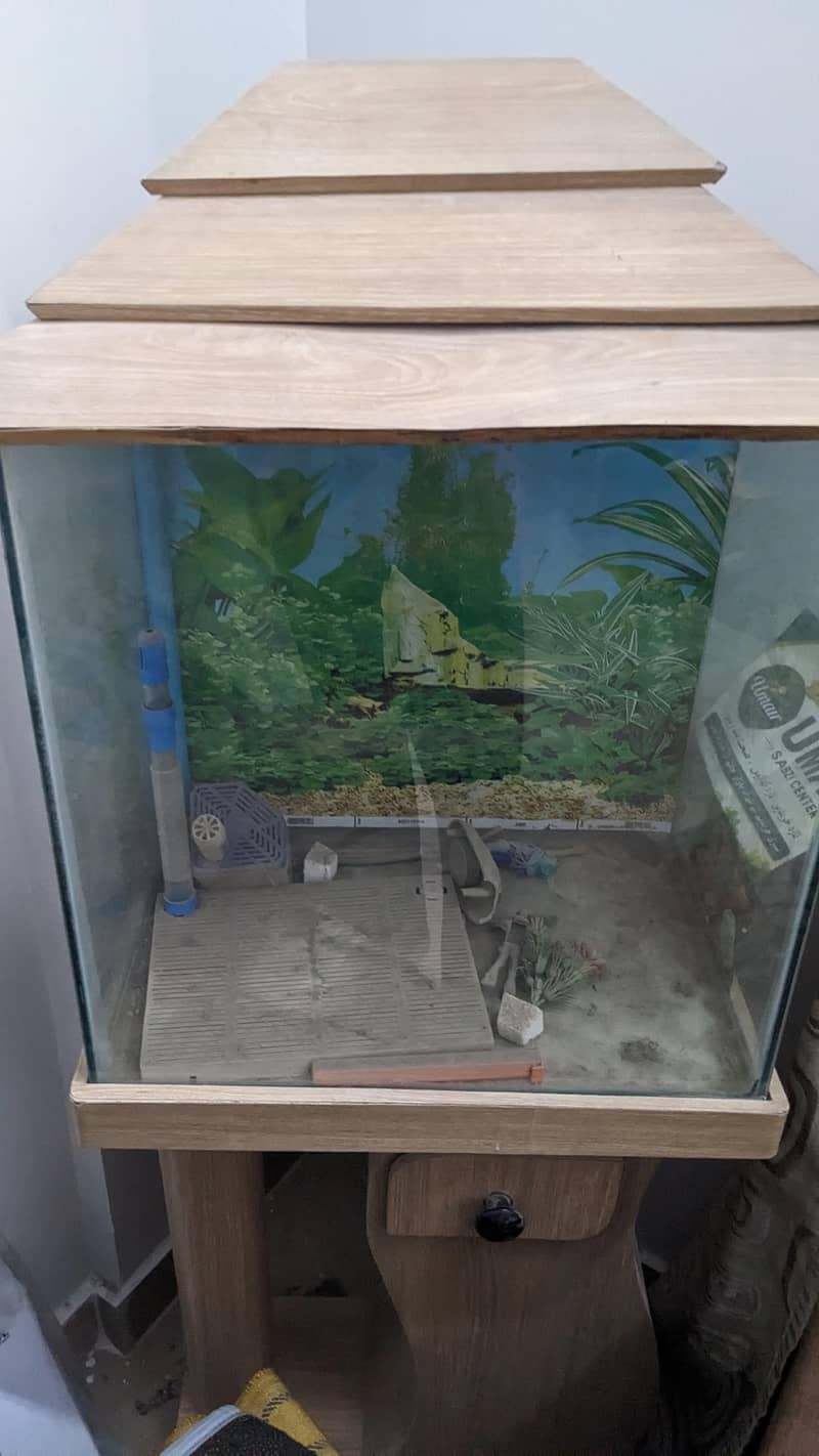 FISH  AQUARIUM 2