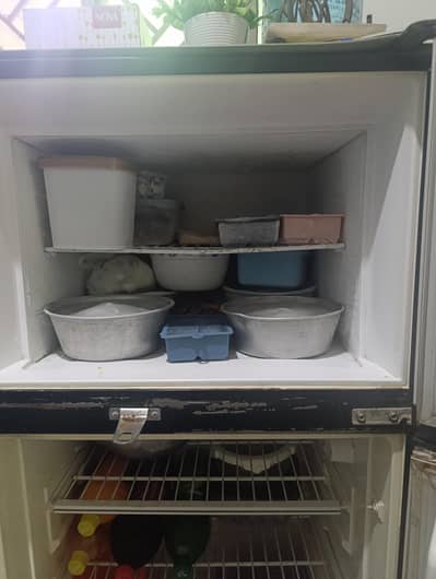 singer refrigerator
