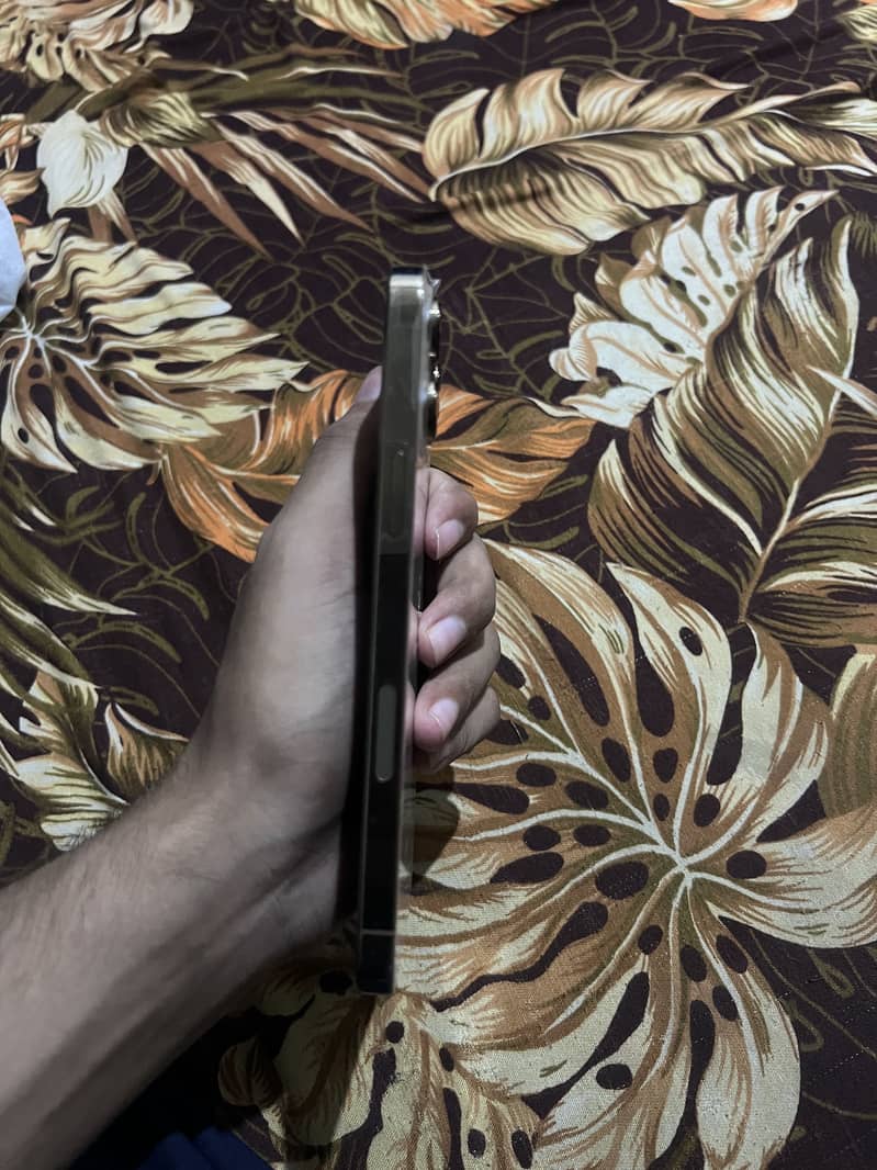 Iphone 13 pro max 3