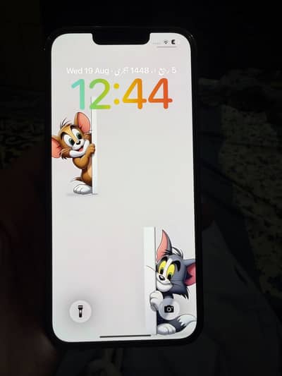 Apple iPhone 13 Pro